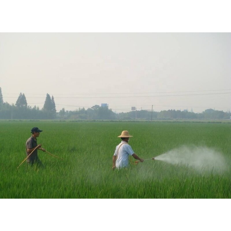 Potassium Humate Fertilizer - X-humate Plant Growth Soil Improvement