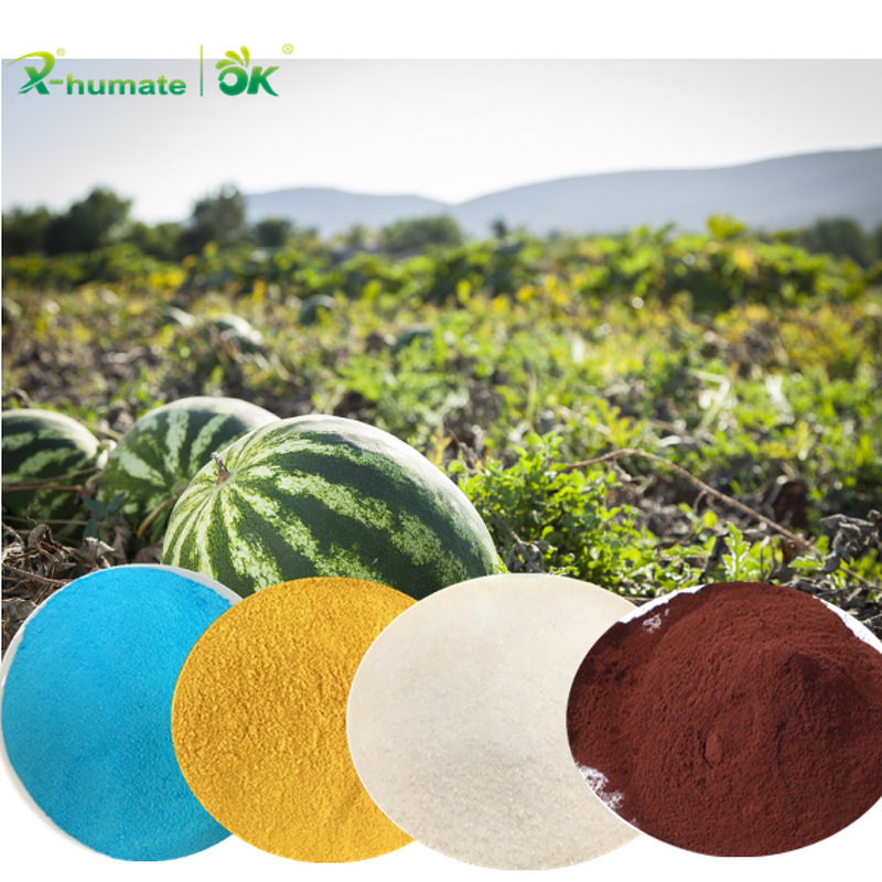 EDTA Chelated Fertilizer - X-humate Ca/Cu/Mn/Fe/Zn/Mg Salts Organic Grade