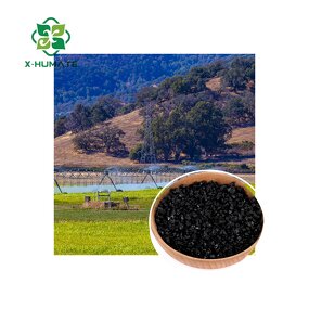 Boron Humate Granular - X-humate H85 Series Soil Conditioner Fertilizer