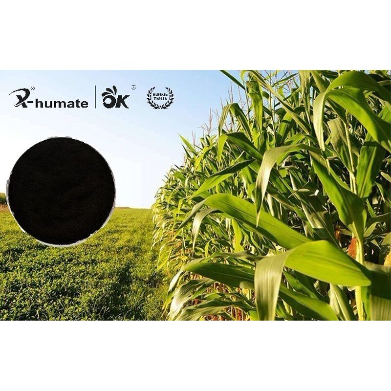 Potassium Humate Fertilizer - X-humate Plant Growth Soil Improvement