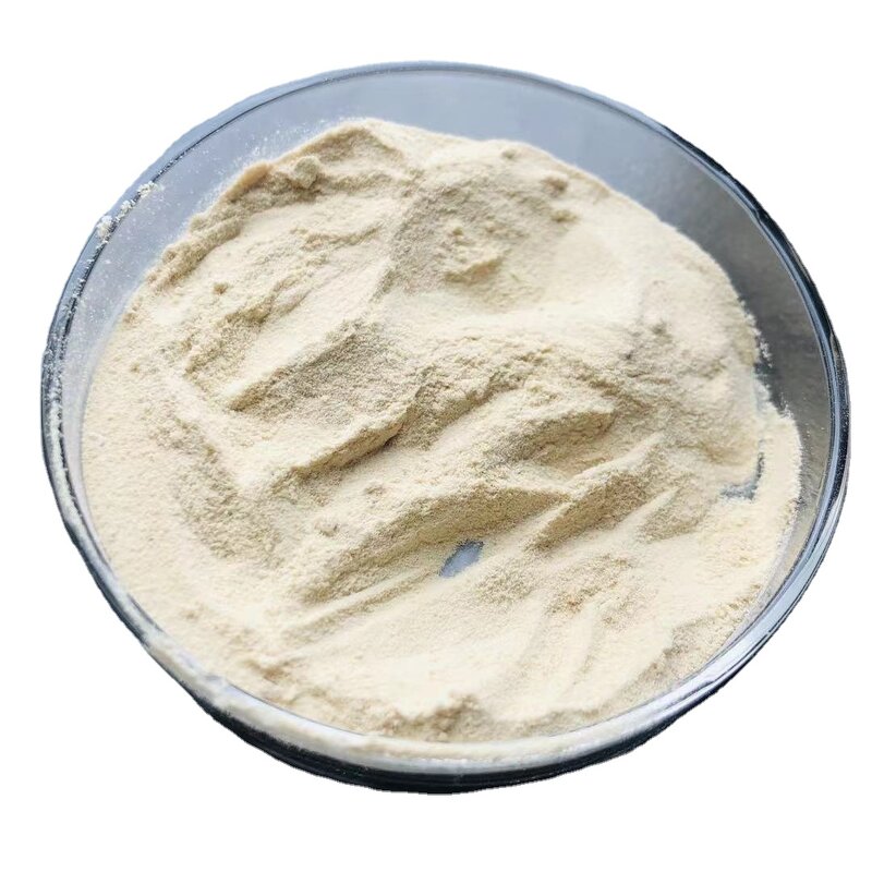 Compound Amino Acid Powder - Organic Nitrogen Fertilizer Agriculture Grade