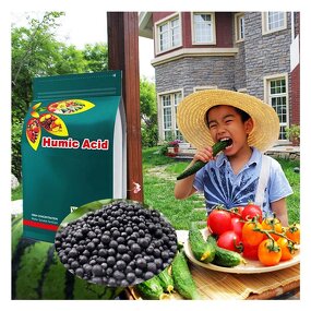 Potassium Humate Ball - X-humate 50% Humic Acid Agriculture Fertilizer