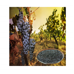 Potassium Humate Fertilizer - Flake Powder Organic Grade for Crop Agriculture