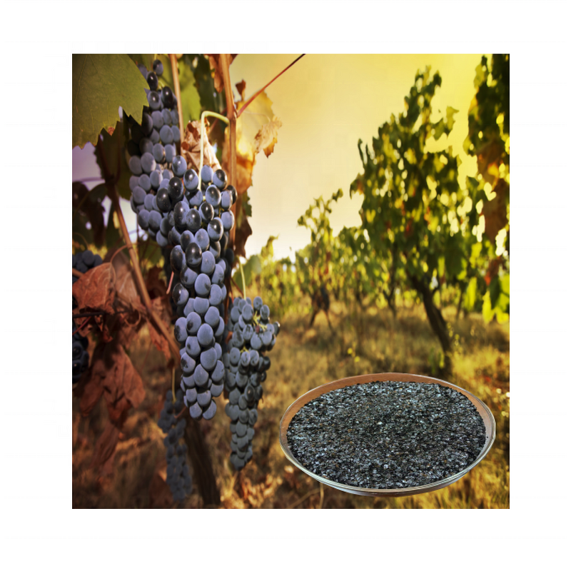 Potassium Humate Fertilizer - Flake Powder Organic Grade for Crop Agriculture