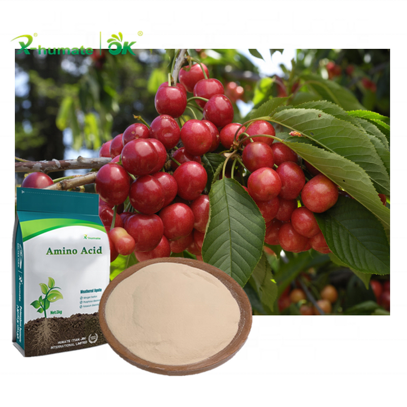 Amino Acid Powder - X-humate 80% Plant Source Organic Agriculture Fertilizer