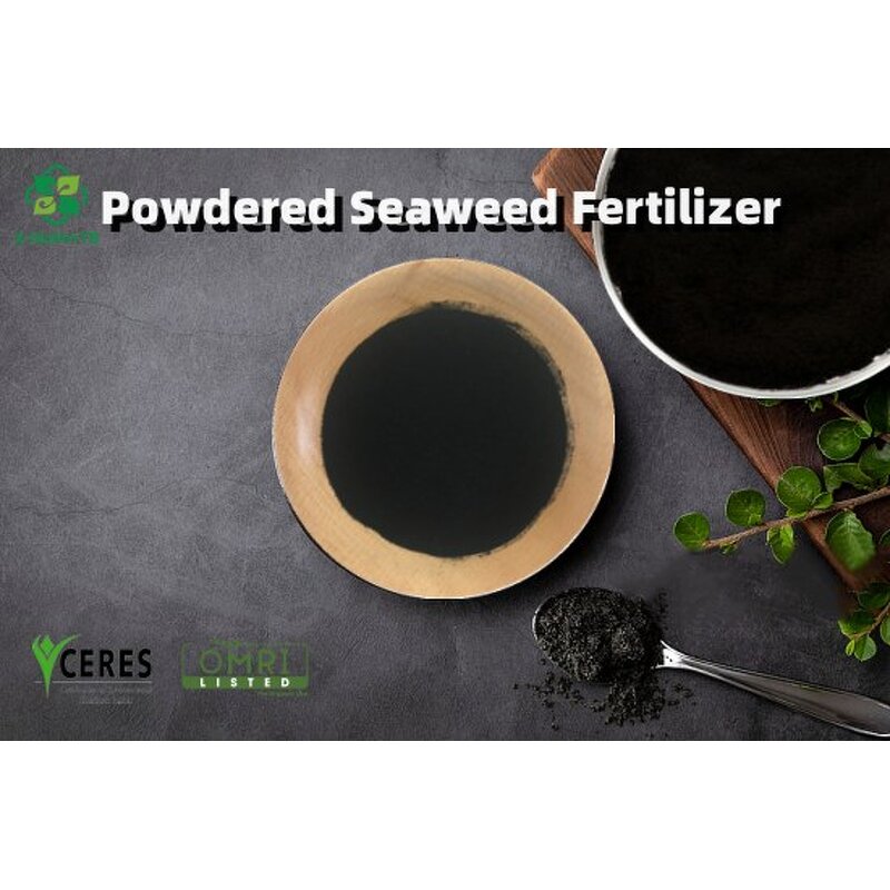 Seaweed Extract Powder - 100% Water Soluble Alginic Acid Organic Fertilizer
