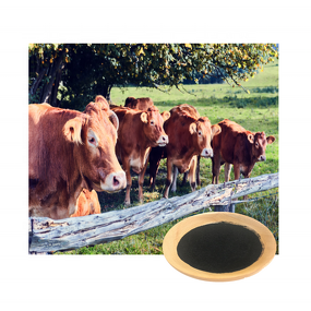 Sodium Humate Powder - 85% Leonardite Humic Acid Animal Feed Aquaculture