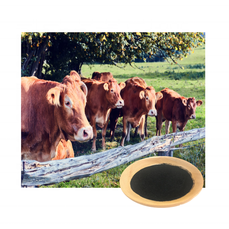 Sodium Humate Powder - 85% Leonardite Humic Acid Animal Feed Aquaculture