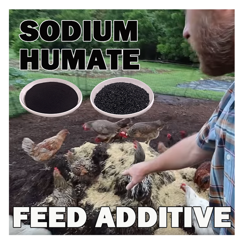 Sodium Humate Powder - X-HUMATE 85% Feed Additive Agriculture Grade