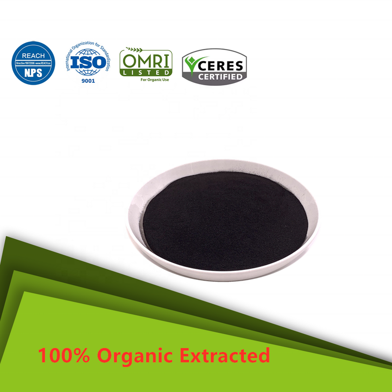 Sodium Humate Powder - 85% Fish Feed Additive Aquaculture Grade