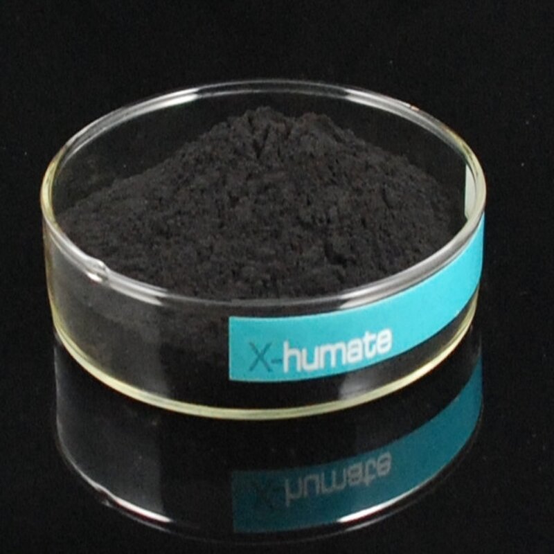 Fulvic Acid Powder - Pure Humic Shilajit for Human Consumption China
