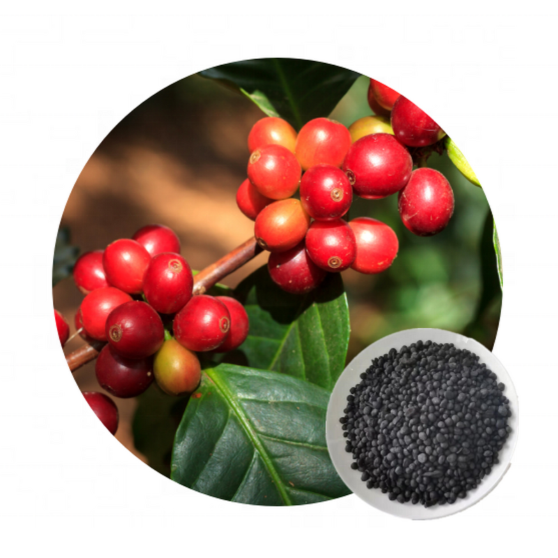 Potassium Humate Ball - X-humate 50% Humic Acid Agriculture Fertilizer