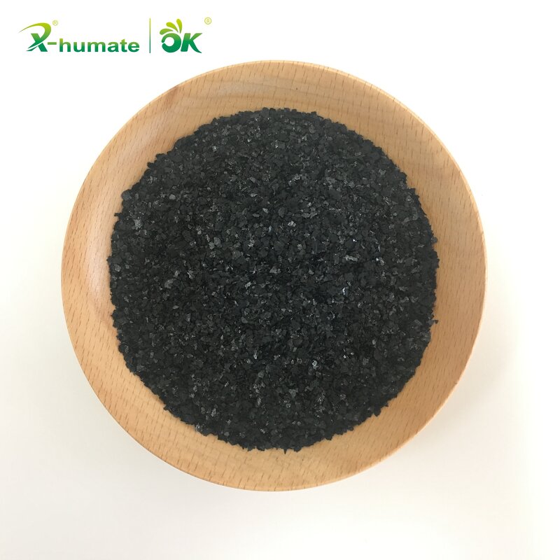 Seaweed Extract Powder - 15% Organic Kelp Brown Algae Concentrated Extract