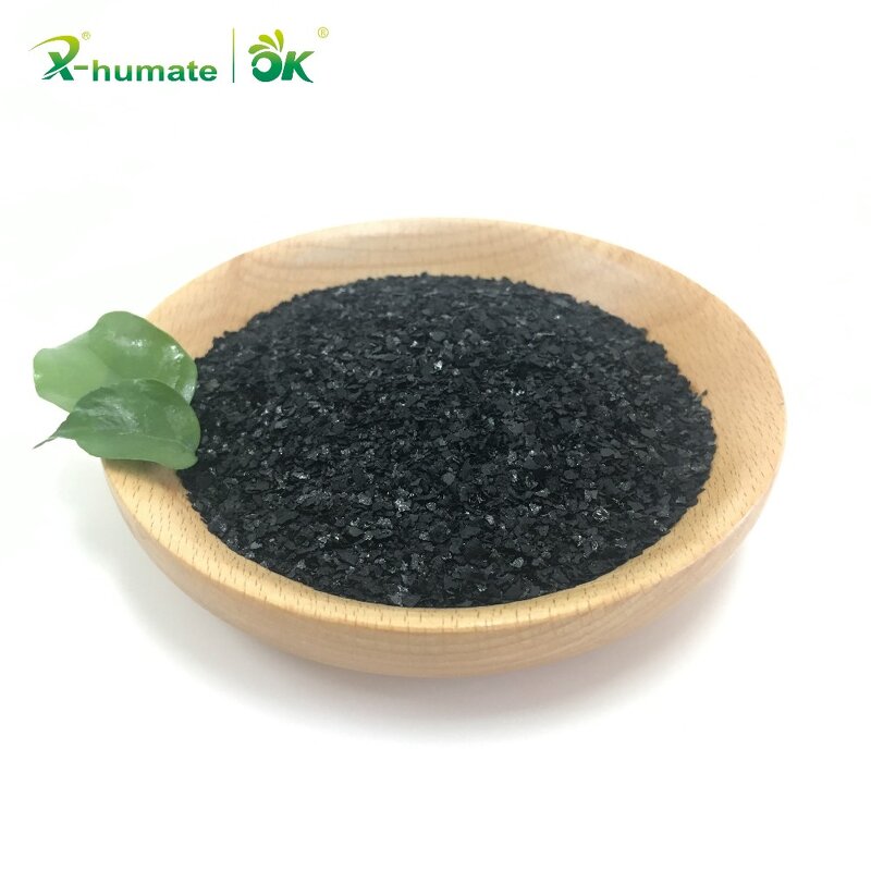 Seaweed Extract Powder - 15% Organic Kelp Brown Algae Concentrated Extract