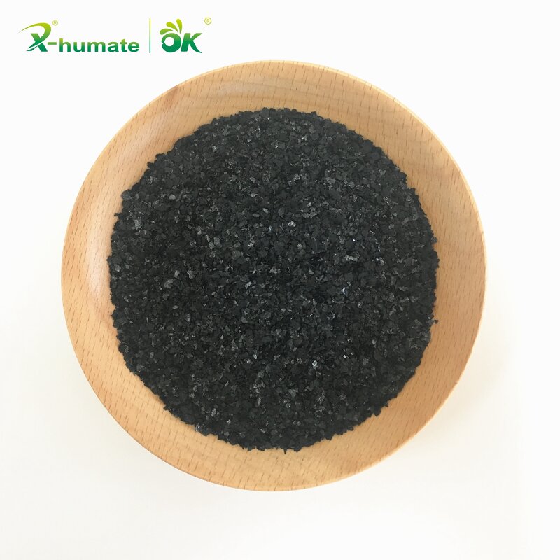 Seaweed Extract Powder - 15% Organic Kelp Brown Algae Concentrated Extract