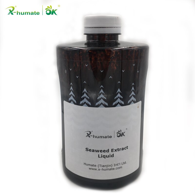 Seaweed Bio Root Liquid - X-humate Natural Organic Plant Growth Fertilizer