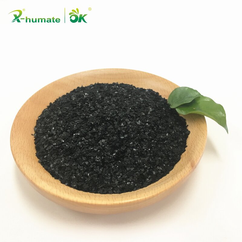 Seaweed Extract Powder - 15% Organic Kelp Brown Algae Concentrated Extract