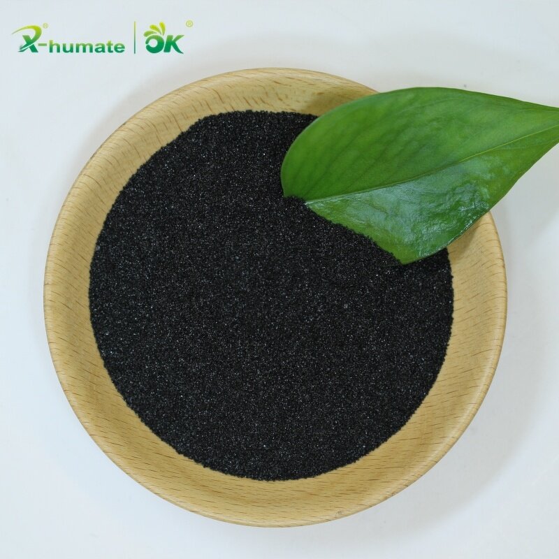 Humic Acid Powder - 70% Leonardite Lignite Extract Organic Grade