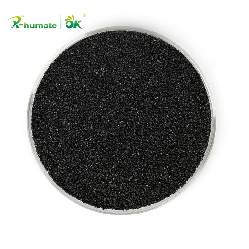 Potassium Humic Acid Powder - 85% High Purity Agriculture Fertilizer