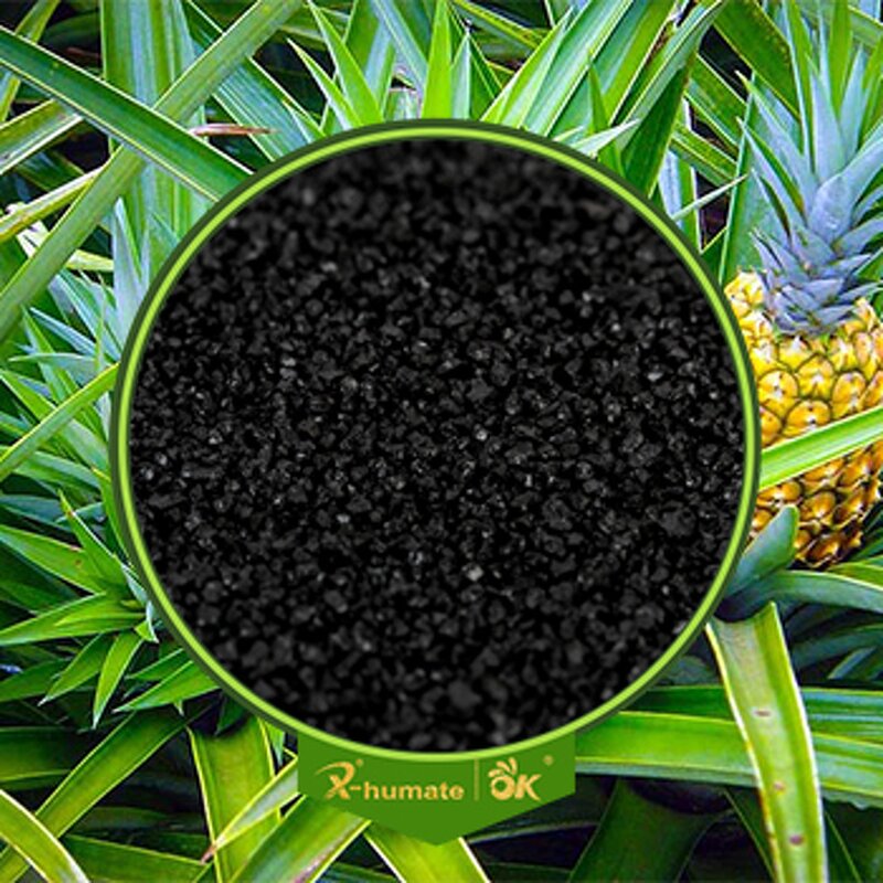 Potassium Fulvate Flakes - X-humate F95% FHA60+5+K2O:10% Shiny Series