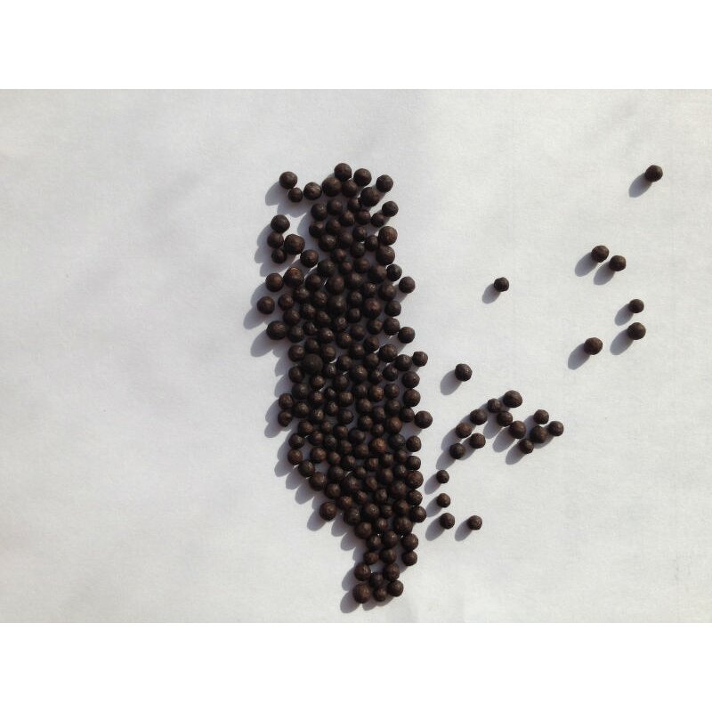 Amino Acid NPK Fertilizer - X-humate Humic Acid Shiny Balls Organic Grade