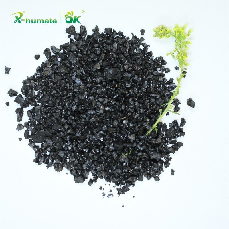 Humic Acid Granule - X-humate K Humate Natural Best Fertilizer