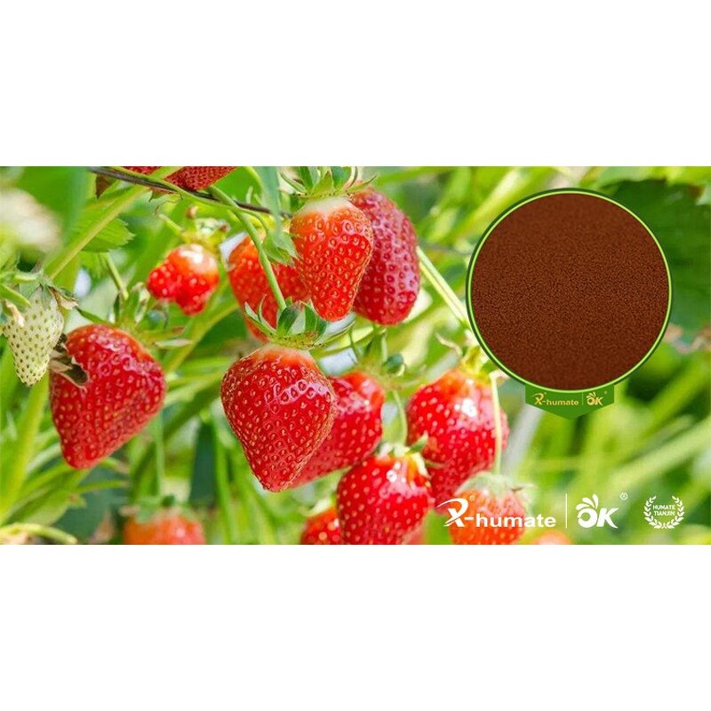 Fulvic Acid Powder - X-humate 80% High Purity Organic Fertilizer