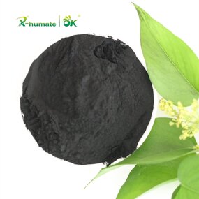 Humic Acid Powder - 70% Leonardite Lignite Extract Organic Grade