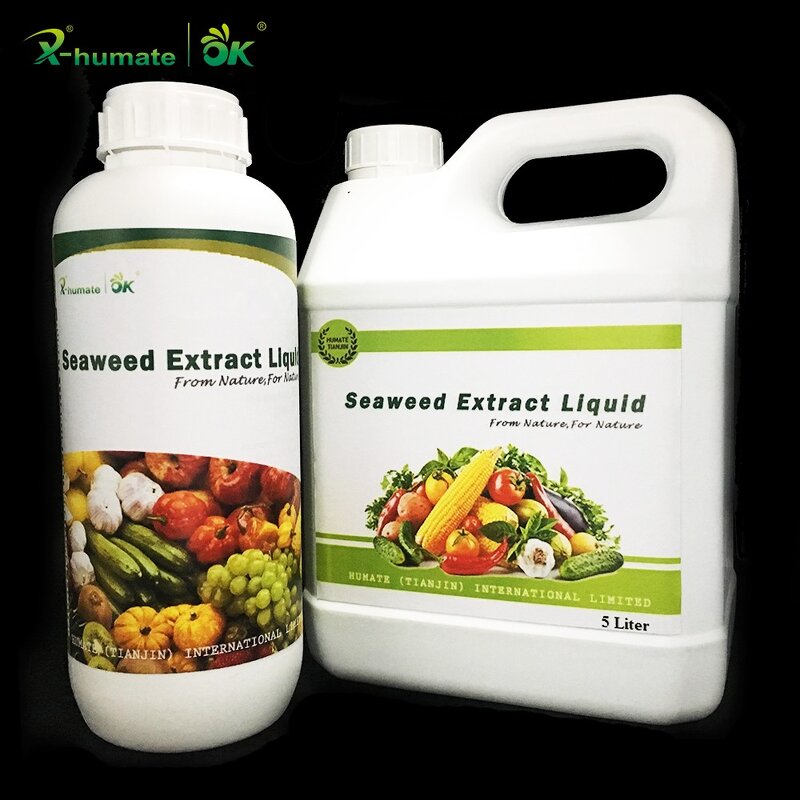 Liquid Kelp Fertilizer - Concentrated for Indoor Outdoor All Kinds Plants