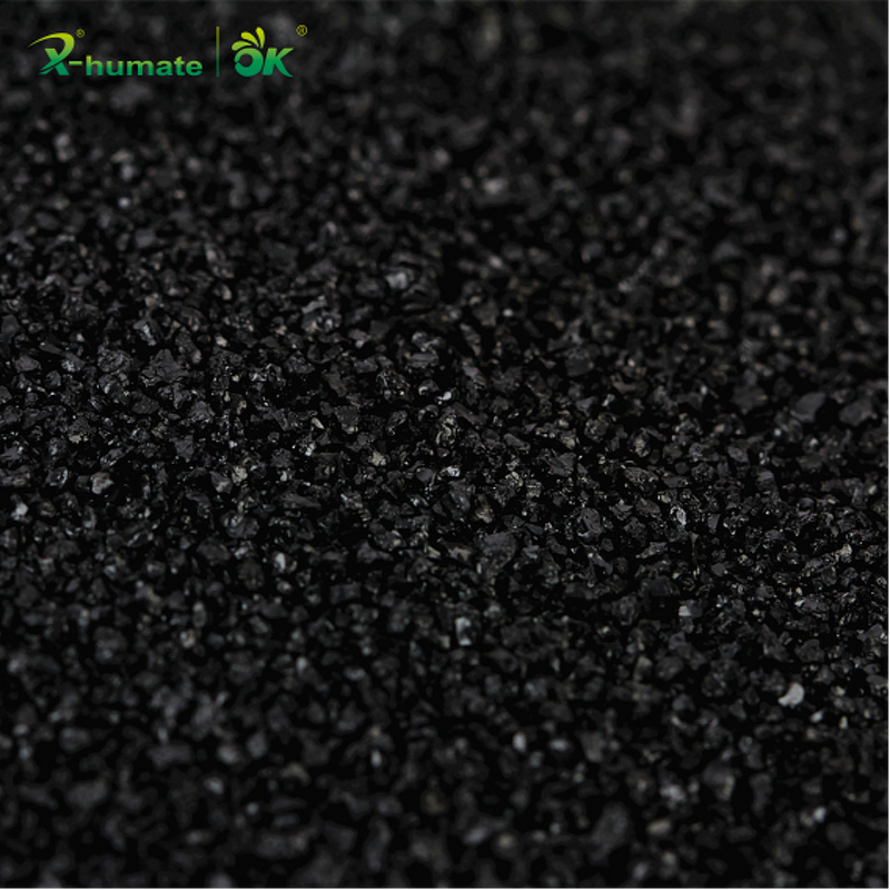 Seaweed Extract Liquid - X-humate Organic Fertilizer Agriculture Grade