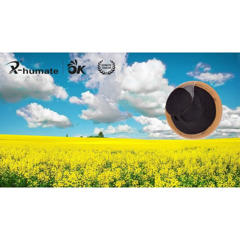 Sodium Humate Powder - Poultry Chicken Cow Sheep Animal Feed Additive