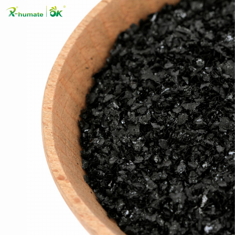 Seaweed Extract Liquid - X-humate Organic Fertilizer Agriculture Grade