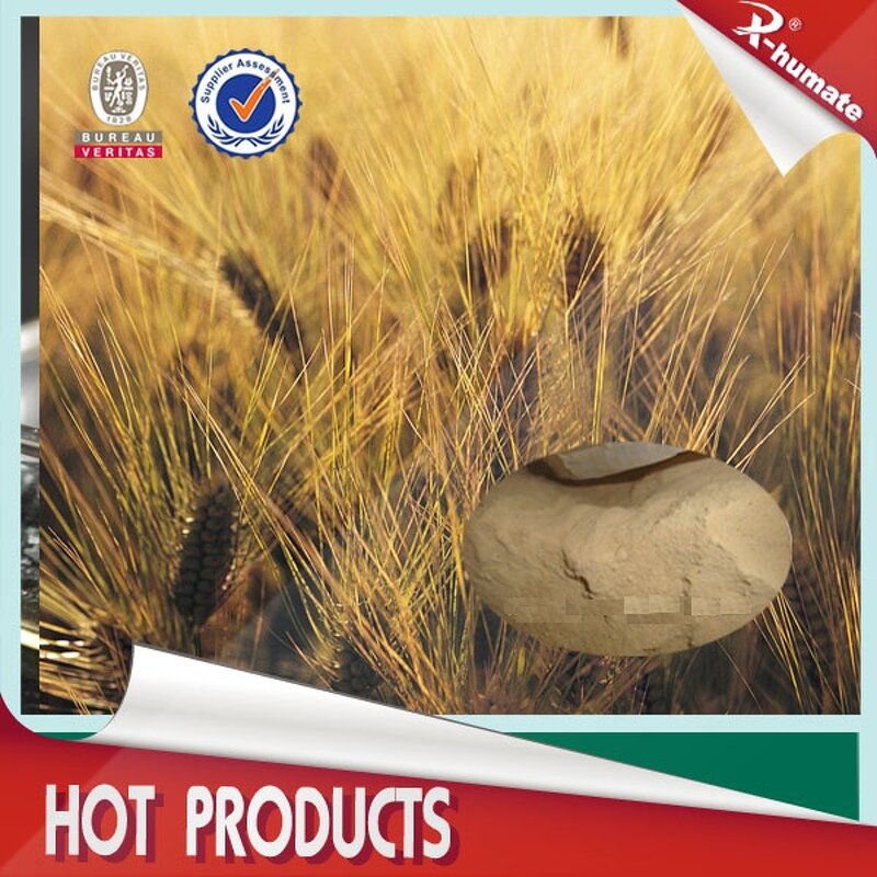 Amino Acid Fertilizer - X-humate 40-80% Plant Vegetable Source Growth Agent