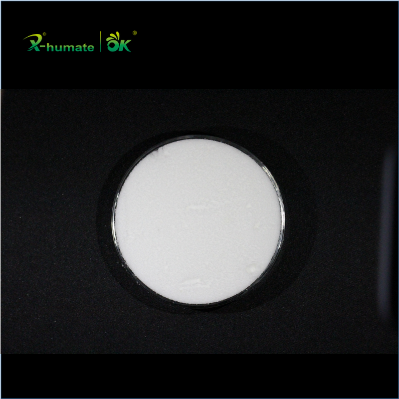 Oxalic Acid Powder - 99.6% High Purity with MSDS Industrial Grade