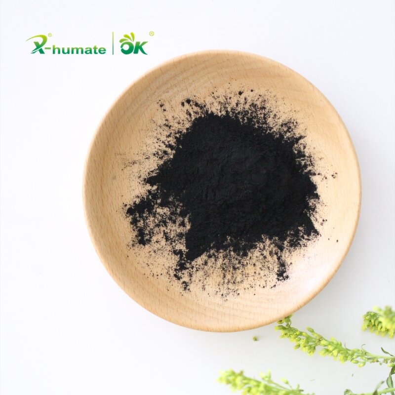 Humic Acid Powder - 70% Leonardite Lignite Extract Organic Grade