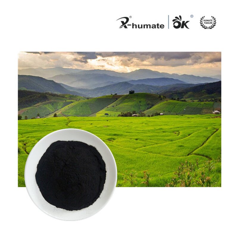 Potassium Humate Powder - X-humate 75% Leonardite Humic Acid Raw Material
