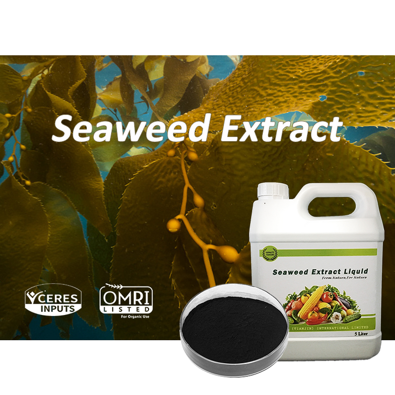 Seaweed Extract Powder - 100% Water Soluble Alginic Acid Organic Fertilizer