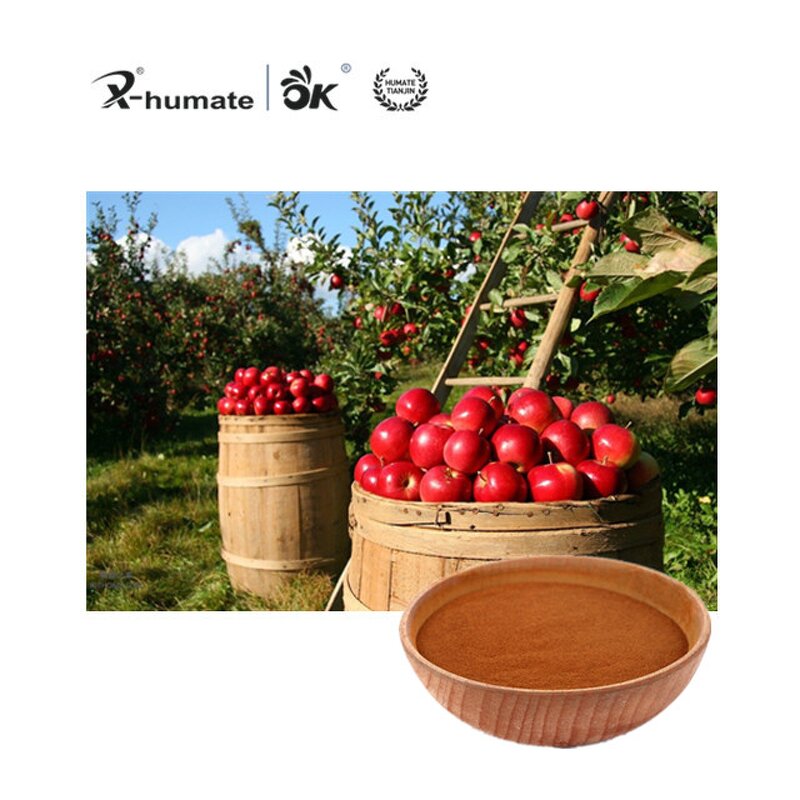 Fulvic Acid Powder - X-Humate 90% High Concentrated Fertilizer Grade