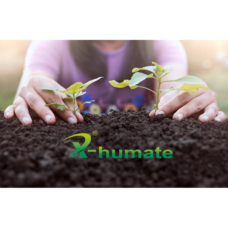 Potassium Humate Fertilizer - Young Leonardite Extract Foliar Irrigation Organic