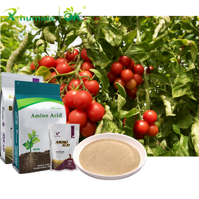 Amino Acid Powder - X-Humate 50% Fast Effect Organic Fertilizer for Plants