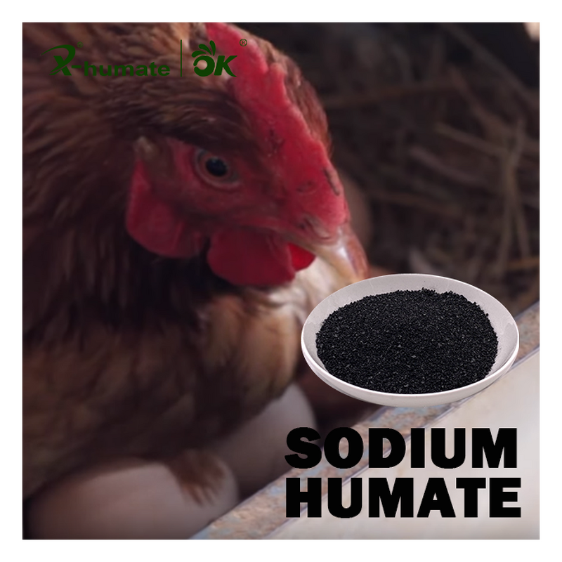 Sodium Humate Powder - X-HUMATE 85% Feed Additive Agriculture Grade