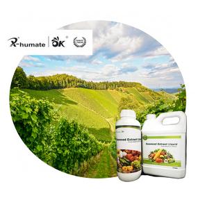 Liquid Kelp Fertilizer - Concentrated for Indoor Outdoor All Kinds Plants