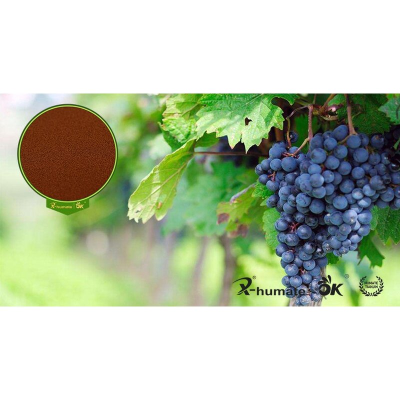 Fulvic Acid Powder - X-humate 95% Plant Source 100% Solubility Organic