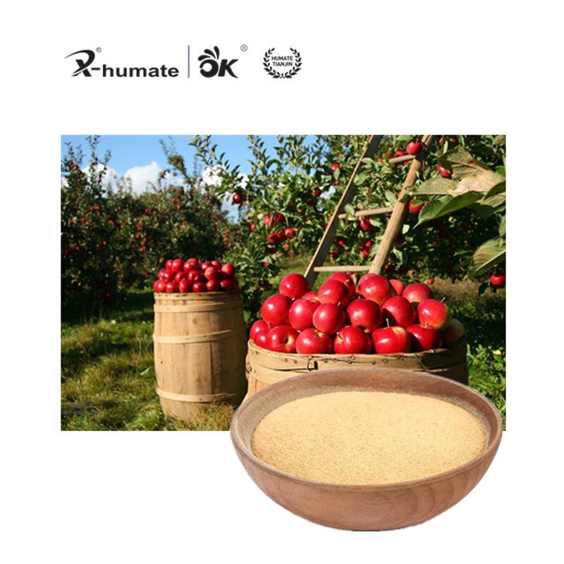 Compound Amino Acid Fertilizer - 80% Water-Soluble Organic Agricultural Grade