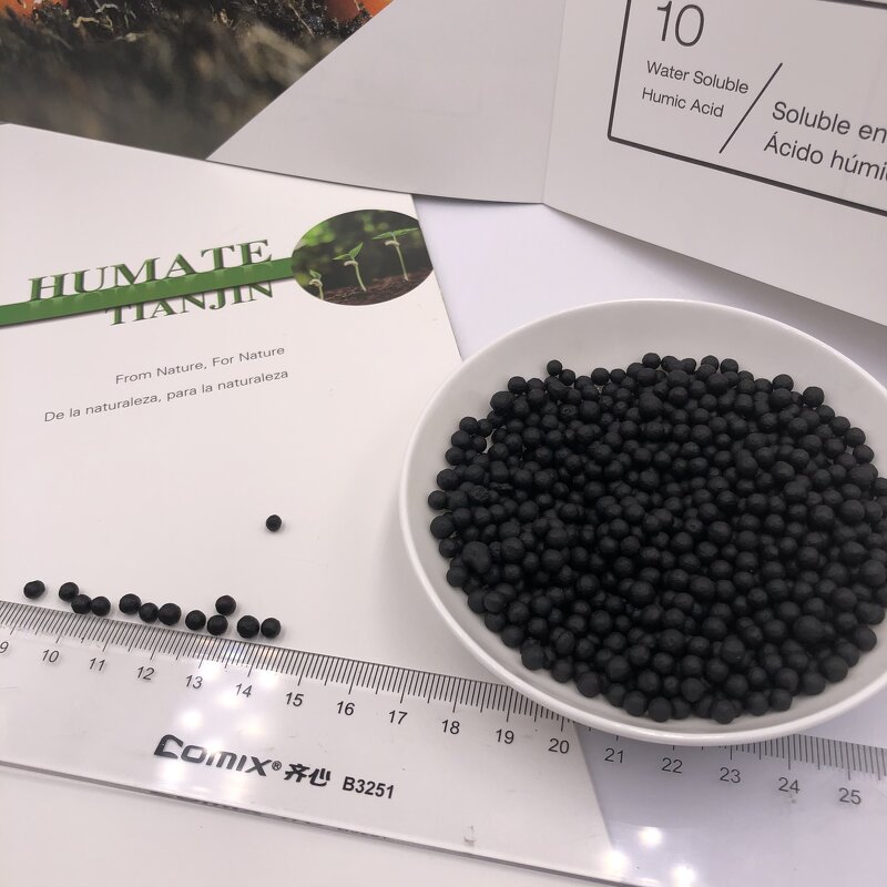 Amino Humic NPK Fertilizer - Water Soluble Shiny Ball Granular Organic Grade