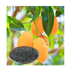 Potassium Humate Fertilizer - Young Leonardite Extract Foliar Irrigation Organic