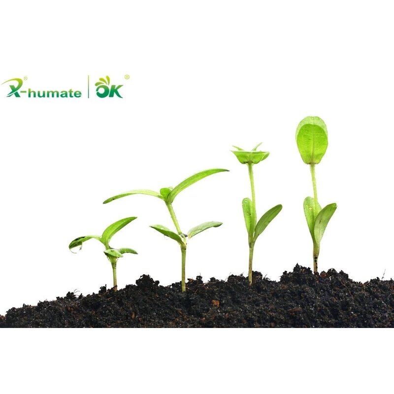 Seaweed Extract - X-HUMATE 100% Ascophyllum Nodosum Organic Agriculture Grade