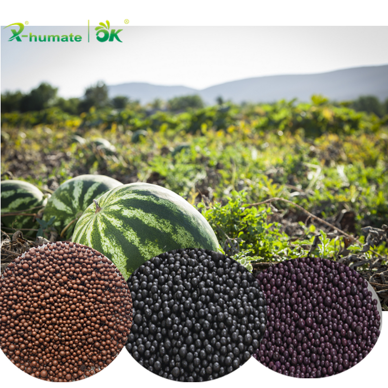 Amino Humic NPK Fertilizer - Water Soluble Shiny Ball Granular Organic Grade