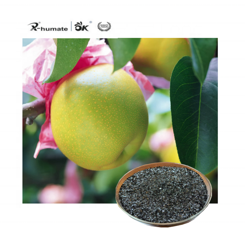 Potassium Humate Fulvate - Super Shiny Flake Powder Premium Organic Fertilizer