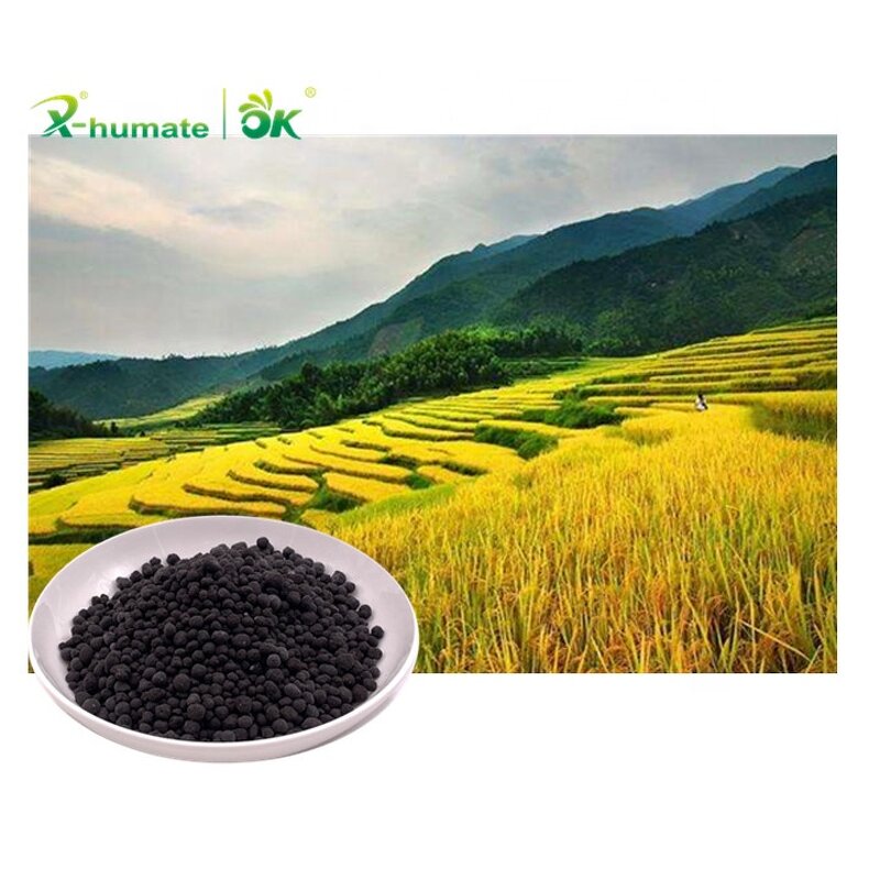 Humic Amino NPK Fertilizer - X-humate Granular Shiny Ball Soluble Organic